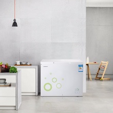 容声(Ronshen) 205升 冷藏冷冻转换冰柜 节能单温冰箱 家用商用冷柜 一级能效 青柠 BD/BC-205MS