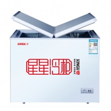 星星（XINGX） 冰柜商用卧式双温冷柜家用小型冷藏冷冻冰箱 BCD-198HE