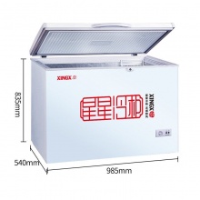 星星（XINGX） 商用家用冰柜 冷藏冷冻转换冷柜 单温单箱冰柜 顶开门冰箱 BD/BC-219E升顶开门