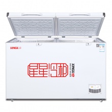 星星（XingXing）卧式单温双门冷冻冷藏转换顶开门冷柜 408升 BD/BC-408G