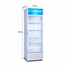 星星（XINGX） 展示柜冷藏立式冰柜商用冰箱饮料饮品保鲜柜单门陈列柜 368单门饮料柜