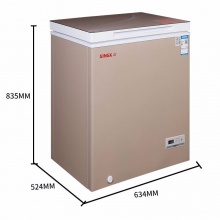 星星（XINGX） 微霜冷柜 不锈钢小冷柜 家用冰柜 冷藏冷冻转换柜 冷柜 节能单温冰箱 BD／BC-100BJV