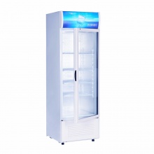 星星（XINGX） 单门展示柜陈列柜冷藏立式冰柜商用冰箱饮料饮品保鲜柜 LSC-368G