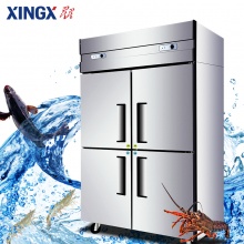 星星（XINGX） 商用冰柜立式双门四门冰箱六门冰箱冰柜商用冷藏冷冻保鲜厨房展示柜不锈钢 全冷冻BD-840E