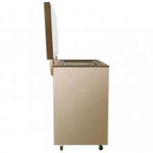 美菱(MELING)231升单温冰柜 一级能效 冷藏冷冻转换冷柜 商用变温柜 卧式冰箱 金色 BC/BD-231DTY
