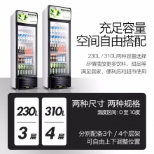 凡萨帝（Fasato） 310升 展示柜冷藏柜 立式 冰柜商用家用 冰箱饮料水果保温保鲜柜