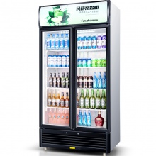凡萨帝（Fasato） 展示柜 冷藏柜 水果保鲜柜立式冰柜冷柜商用冰箱饮料柜 LC-493 直冷+顺丰配送