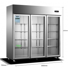 雪花 （SNOWFLK）冷藏冷冻保鲜冰柜 展示柜冷柜 点菜柜 饮料柜 陈列柜 商用厨房冰箱 BD/BC-722三门