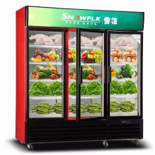 雪花 （SNOWFLK）商用冰柜冰箱展示柜保鲜柜立式冷藏柜商用冰箱展示柜饮料柜冷柜冷藏陈列 三门绿黑色升级版