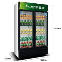 雪花 （SNOWFLK）LC-650商用冰柜冰箱立式冷藏双门展示柜饮料饮品保鲜柜冷柜陈列柜