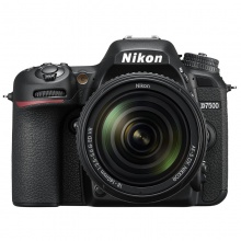 尼康（Nikon）D7500 单反套机（AF-S DX 尼克尔 18-140mm f/3.5-5.6G ED 单反镜头）