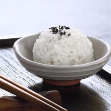 金龙鱼 东北大米 寿司香米 粳米 鲜稻小町大米 5KG 当季新米