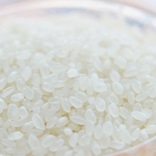 北大荒 百年寒地 优质东北大米 粳米 珍珠米 5kg
