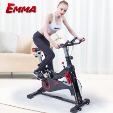 艾玛EMMA 智能动感单车家用静音健身车室内健身自行车脚踏车 健身器材9002T