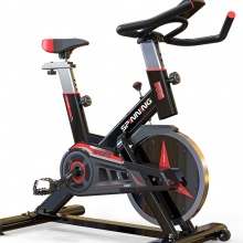 多德士 (DDS) 家用动感单车 静音健身车室内健身自行车脚踏车 减肥运动健身器材DDS-9301