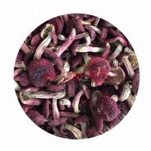 野生菌红菇干货云南土特产蘑菇山珍野生菌思茅大红菌