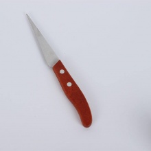 氢宝（QINGBAO） 雕刻刀 套装厨师刀具水果刀雕刻刀不锈钢厨房拼盘组合件套贴膜入门家用雕刀 款式一