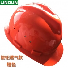 林盾（LINDUN）安全帽工地建筑工人工程工厂劳保安全头盔夏季透气遮阳定制印字男 橙色