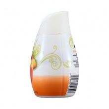 蕊风Renuzit98%天然固体空气清新剂去味除臭芳香剂198g水蜜桃味