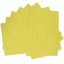 天章（TANGO）金彩天章A4 80g 浅黄色复印纸 100张/包 单包装_