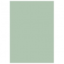 天章（TANGO）新绿A4 封面 浅绿色云彩纸 100张/包
