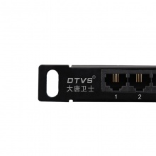 DTVS大唐卫士 DT8025 理线架 语音电话配线架 超五类24口网络配线架