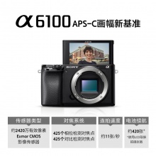 索尼（Sony）Alpha 6100L 微单数码相机（含闪迪64G SD卡+索尼原装相机包+卡色（Kase）G-MC UV 40.5mm口径+沣标捕捉者摄影家FW50（V）电池）