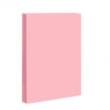 传美 A5 80g 彩色复印纸 粉红色 500张/包 20包/箱（单位：包）