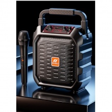山水（SANSUI）D39 蓝牙音箱 黑色-单话筒