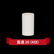 联塑PVC直通4分（20mm）