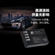 沣标（FB） FB-DLI109  电池 单块 