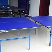双鱼（DOUBLE FISH） 501A乒乓球桌折叠式家庭娱乐单折式移动标准乒乓球台 501 墨绿色面 15MM